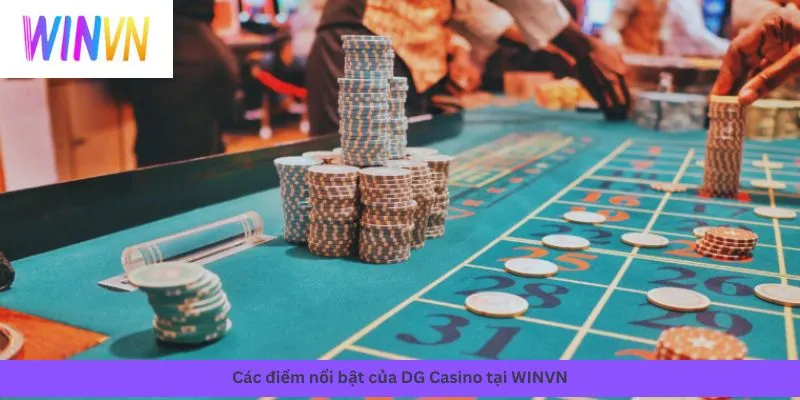 Các điểm nổi bật