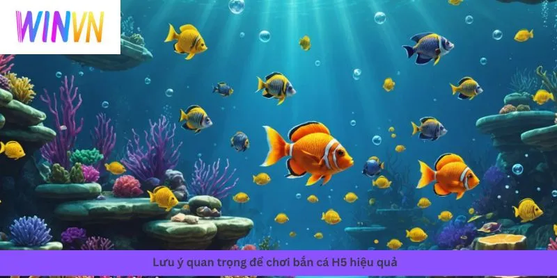 bắn cá H5 4 Các lưu ý quan trọng