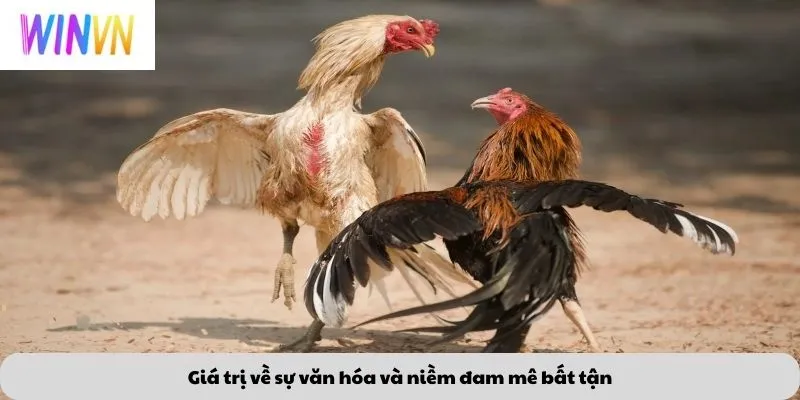 Giá trị về sự văn hóa và niềm đam mê bất tận