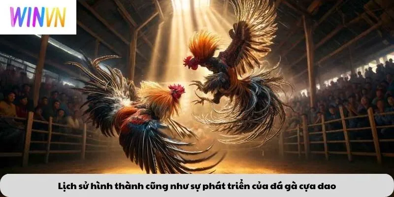 Lịch sử hình thành cũng như sự phát triển của đá gà cựa dao