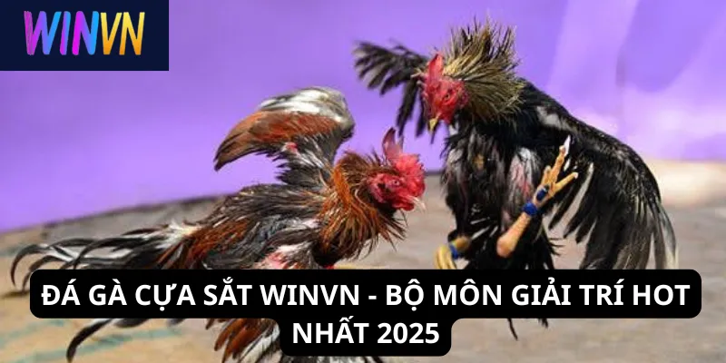 Đá gà cựa sắt