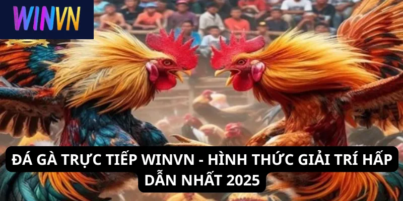 Đá gà trực tiếp