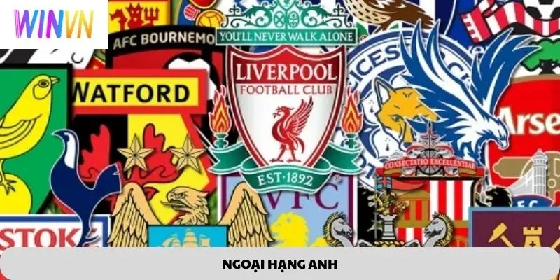 NGOẠI HẠNG ANH