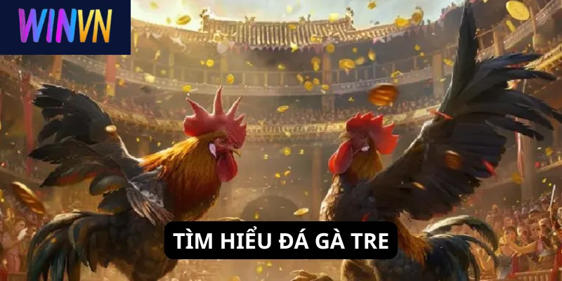 Tìm hiểu đá gà tre